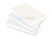 An Introduction to Digital Media (PDF eBook)